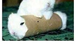 最近热门事件合集吃瓜兔